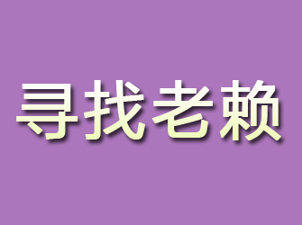 元宝寻找老赖