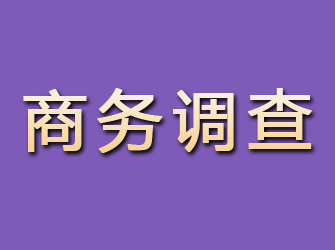 元宝商务调查